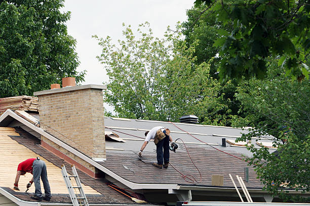 Best Roof Moss and Algae Removal  in Enumclaw, WA